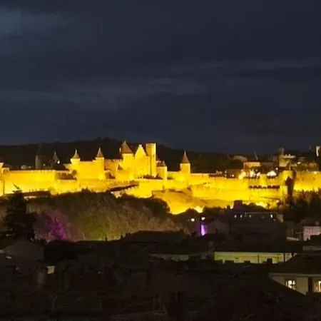 Le Mistral - Vue Imprenable Sur La Cite Medievale Каркассонн